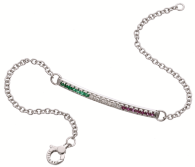 bracciale tricolore per zaia