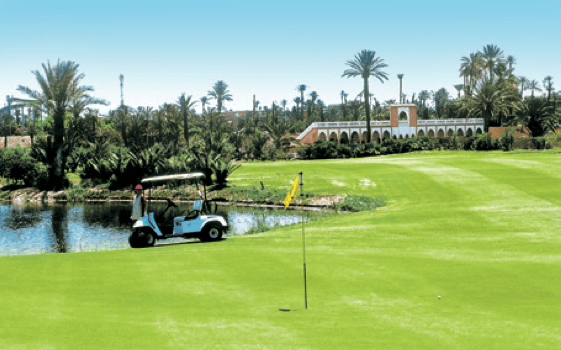 Palmeraie Golf Club