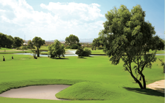Palmeral Golf Saïdia