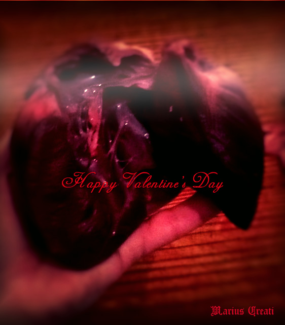 happy-valentines-day-by-marius-creati-2017